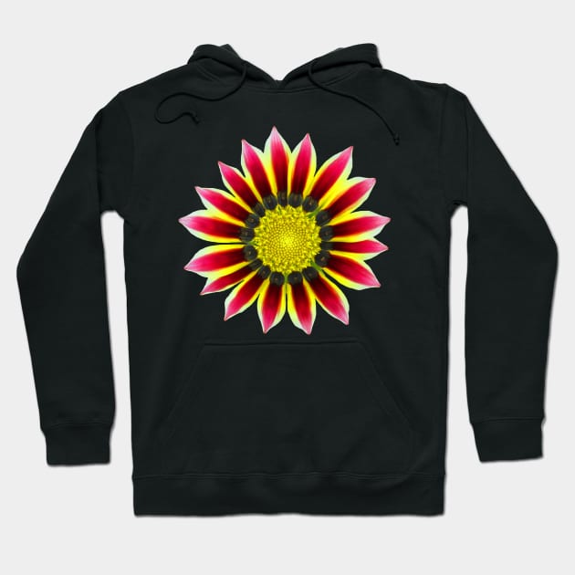 red pink flower, blossom, nature, blooming Hoodie by rh_naturestyles